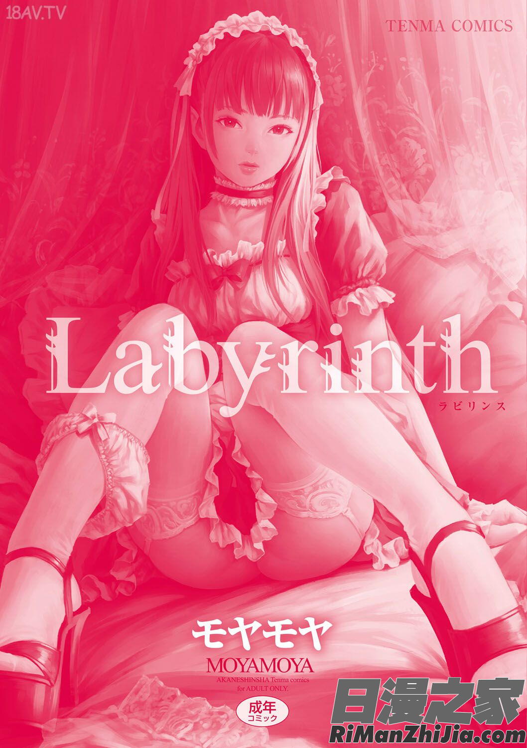 Labyrinth漫画 免费阅读 整部漫画 229.jpg